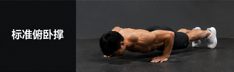 Standard Push-Up Benchmark